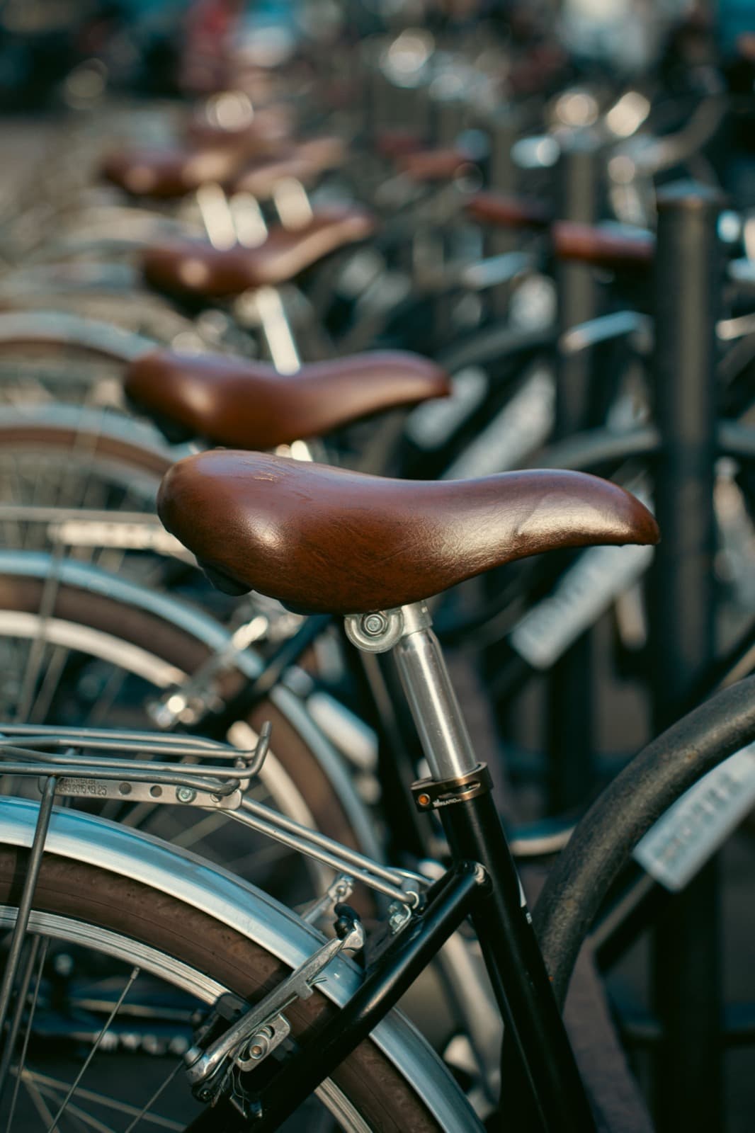 Bike & vehicle rental